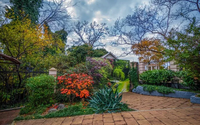 IMG_20241122_214754_879